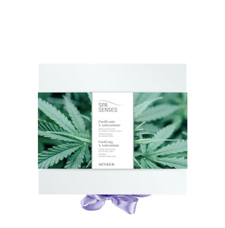 Purifying & Antioxidant | Spa Senses Kit